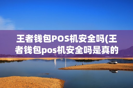 王者钱包POS机安全吗(王者钱包pos机安全吗是真的吗)