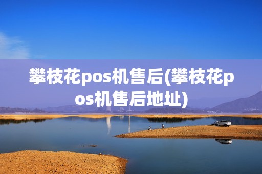 攀枝花pos机售后(攀枝花pos机售后地址)