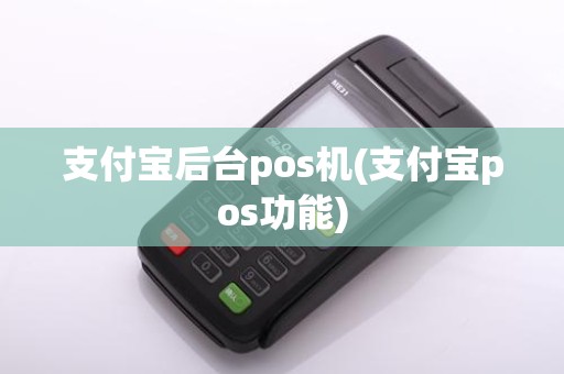 支付宝后台pos机(支付宝pos功能)