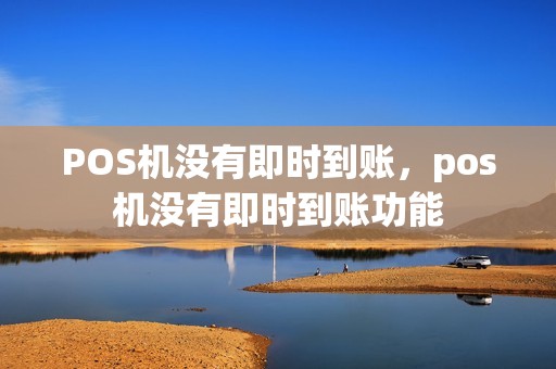 POS机没有即时到账，pos机没有即时到账功能