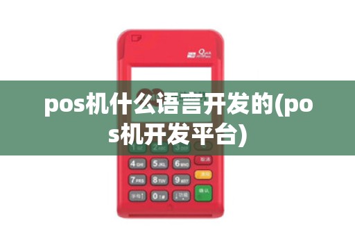 pos机什么语言开发的(pos机开发平台)