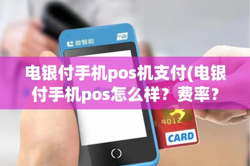 电银付手机pos机支付(电银付手机pos怎么样？费率？)
