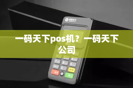 一码天下pos机？一码天下公司