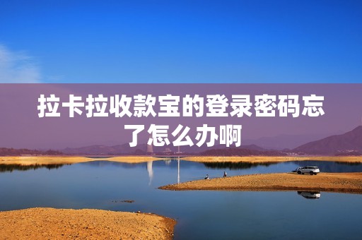 拉卡拉收款宝的登录密码忘了怎么办啊