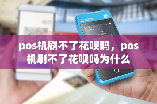 pos机刷不了花呗吗，pos机刷不了花呗吗为什么