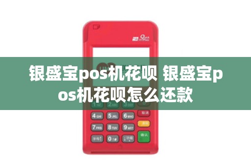 银盛宝pos机花呗 银盛宝pos机花呗怎么还款