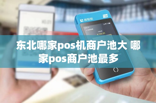 东北哪家pos机商户池大 哪家pos商户池最多