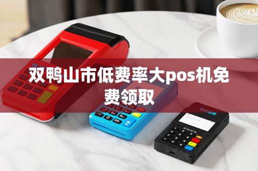 双鸭山市低费率大pos机免费领取