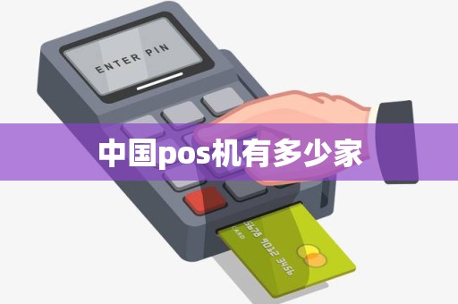 中国pos机有多少家