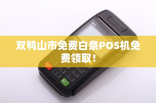 双鸭山市免费白条POS机免费领取！
