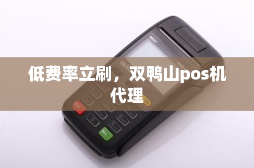低费率立刷，双鸭山pos机代理